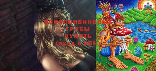 соль курить ск Алзамай