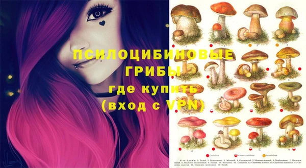 прущая мука Алексеевка