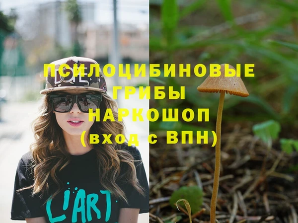 соль курить ск Алзамай