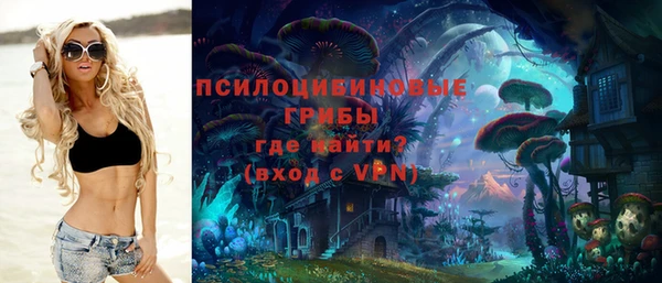 соль курить ск Алзамай