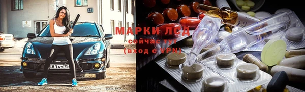 крисы Алексин