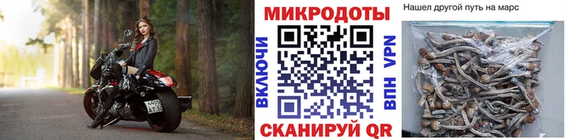 продажа наркотиков Стародуб Галлюциногенные грибы Psilocybe