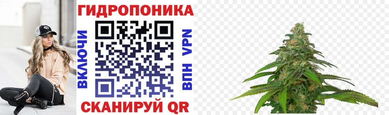 цена   Стародуб  Канабис LSD WEED 